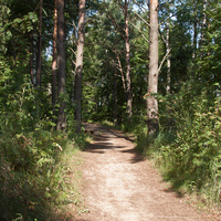 Природа Форта