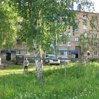 Выльгорт 2014