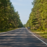 Дорога в Шепелево