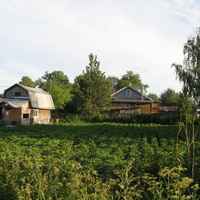 Выльгорт 2014 - ул. Тимирязева