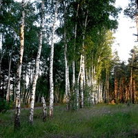 Природа села  Нижний Ольшанец