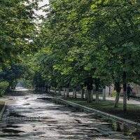 улица Тольятти