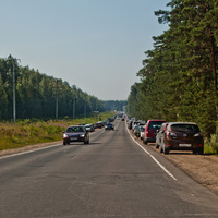 По дороге в Сосновый Бор