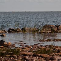 Финский залив