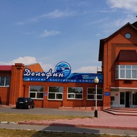 Детский спортивный комплекс Дельфин