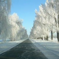 Зимова дорога