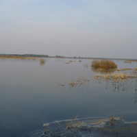 разлив реки Остёр вид в сторону д. Роськов