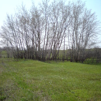 Сад Рудченковых