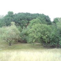 Сад Луговенко