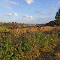 Конец лета.