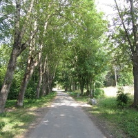 Ивангород, парк усадьбы Штиглица