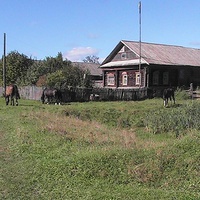 Дом в Орлово