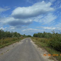 Дорога в Орлово