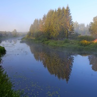 Голубизна утра.