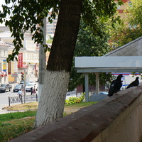 Проспект Ленина, 150-а