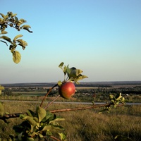 Вид на село Козьмодемьяновка