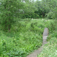 Речка Ярчиха, 2014 г.