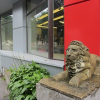 Львенок около супермаркета  SPAR