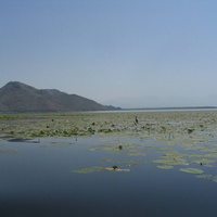 В окрестностях Вирпазара Скадарское озеро 2007