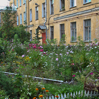 Двор на улице Петровской