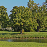 Александровский парк