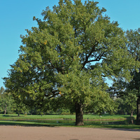 Александровский парк