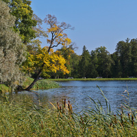 Большой пруд