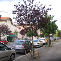 Ambérieu en Bugey 2014