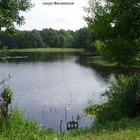 Озеро Филинское (севернее деревни Филинская)
