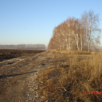 Дорога от Алексеевуи на Николаевку
