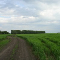 Дорога в Алексеевку