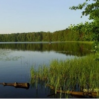 На Чёрном Бордуковском озере водную чашу июль окаймил...