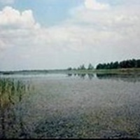 Маловское озеро за деревней Ивановская
