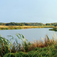 Митюхин пруд осень 2011 г