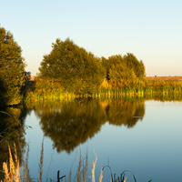 Митюхин пруд, плотина 2012 г.