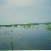 Озеро Лихарево в 3-х км западне деревни Посерда