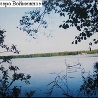 Озеро Воймежное в 3,5км юго-восточнее посёлка. Вид с западного берега. Август 1997г.