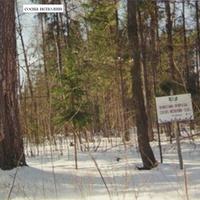 Сосна исполин с табличкой "Памятник природы" за Красными Лугами