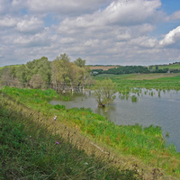 Озеро по ул.Смелянской_2014г.