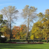 парк вокруг  двореца графа Воронцова