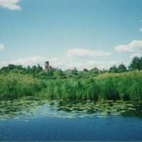 Вид на колокольню Николо-Ялминского храма с реки Пра у деревни Подсвятье