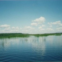 Озеро Шагара за деревней Подсвятье