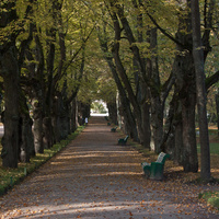 Павловский парк