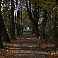 Павловский парк