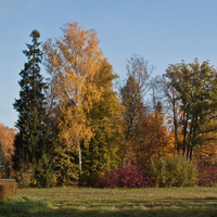 Павловский парк