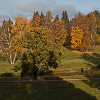 Павловский парк