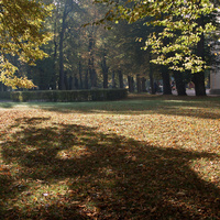 Павловский парк