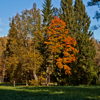 Павловский парк
