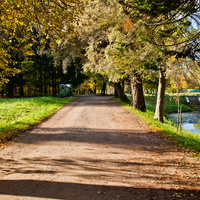 Павловский парк
