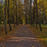 Павловский парк